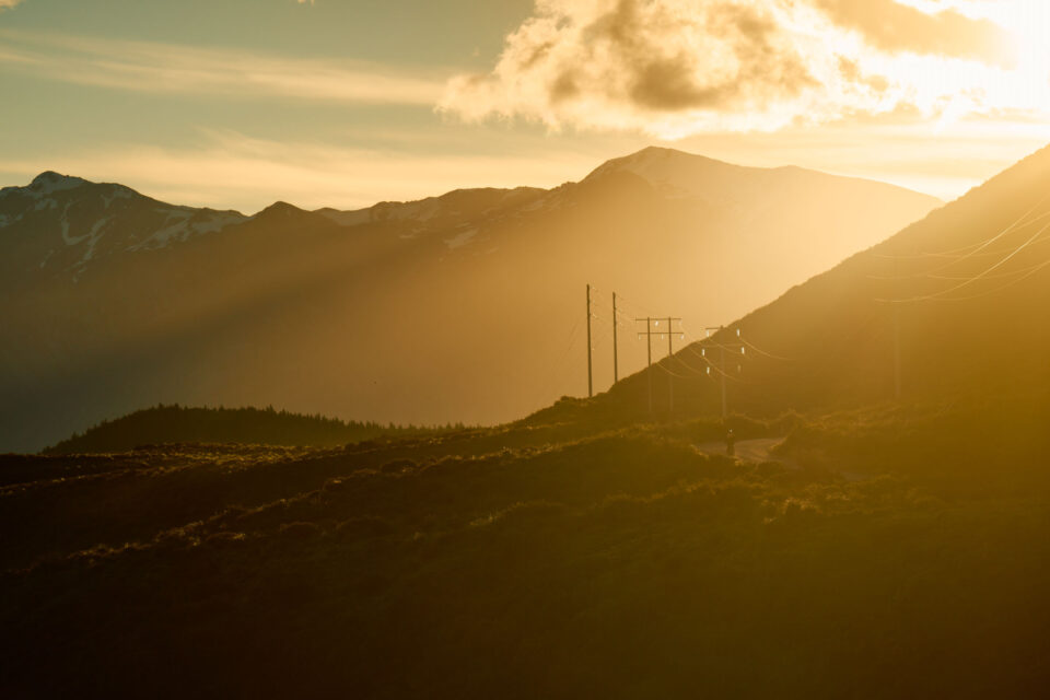 project double shake nz