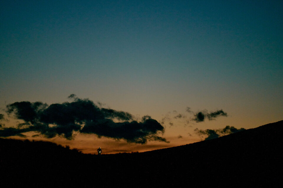 project double shake nz