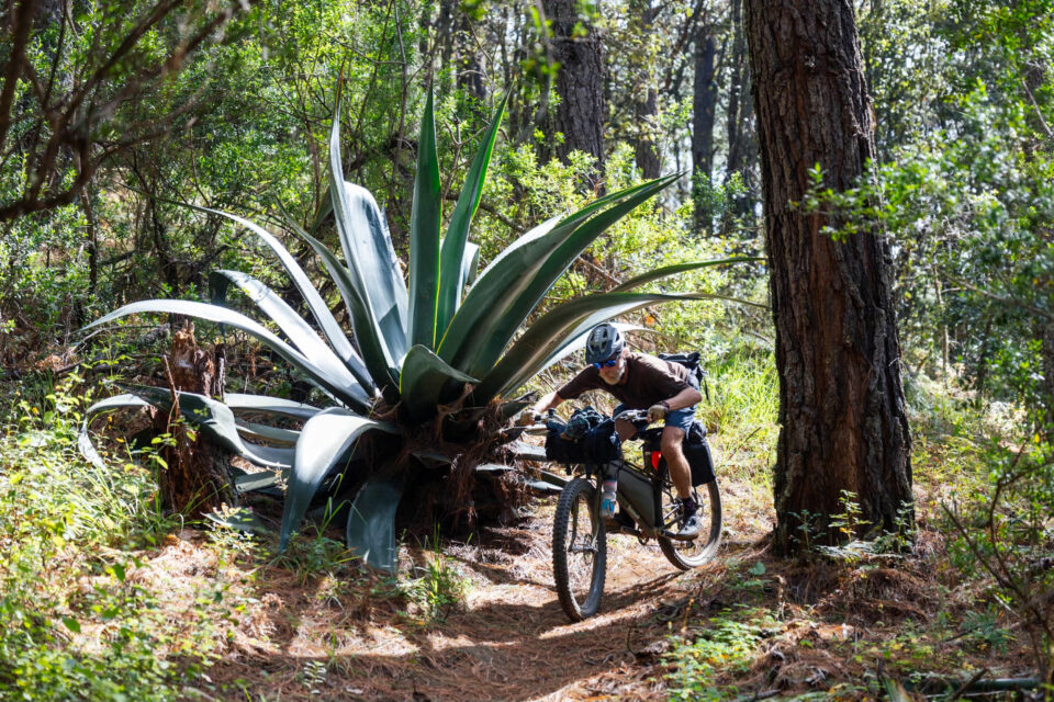 Revelate Designs Portage Panniers Review