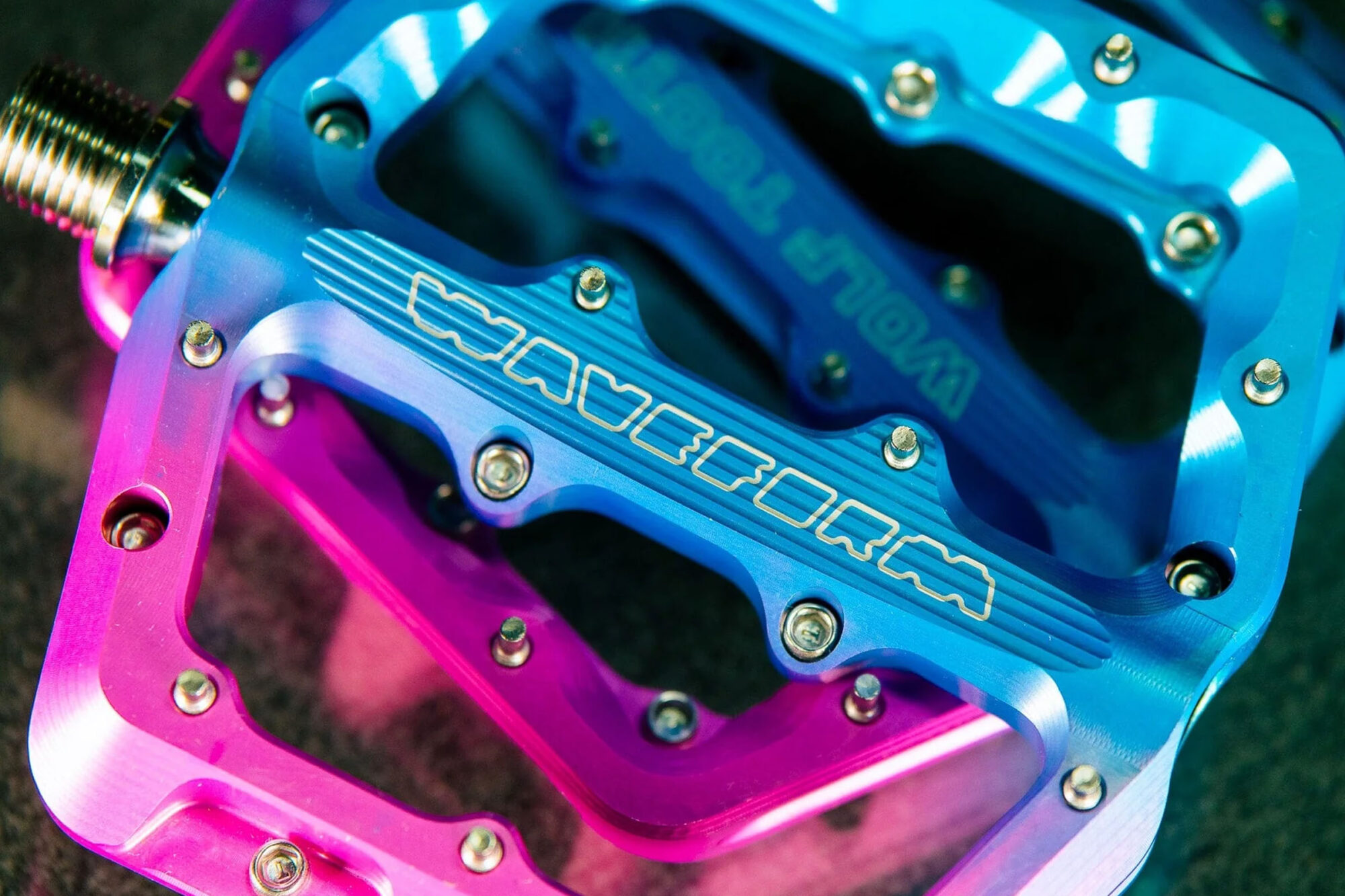 Wolf Tooth Waveform Pedals Cotton Candy