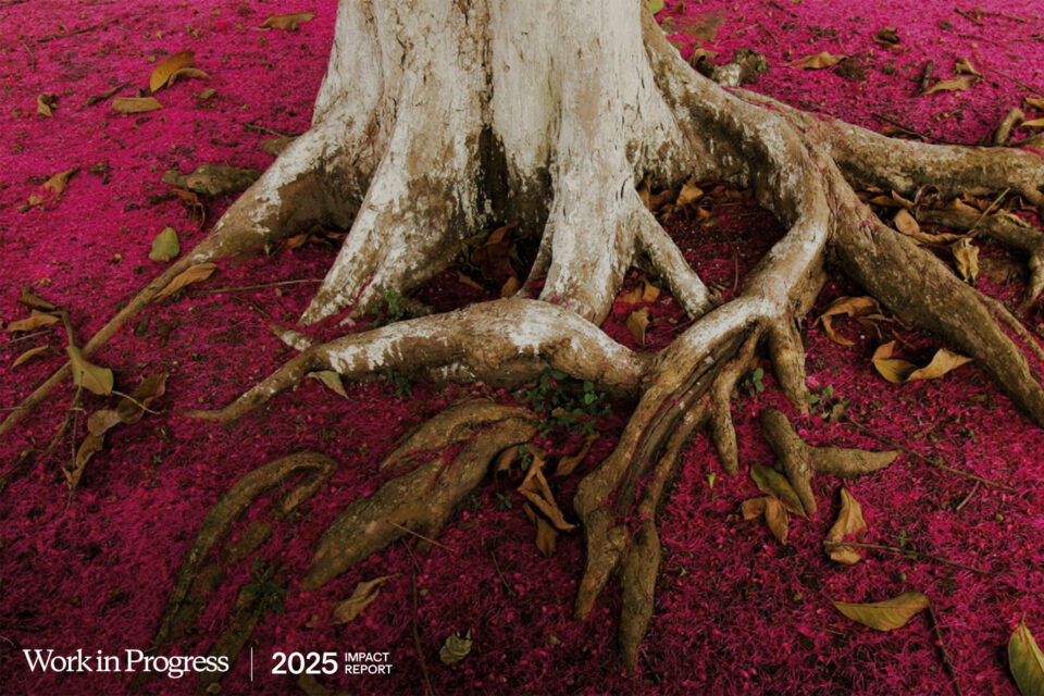 work in progress patagonia