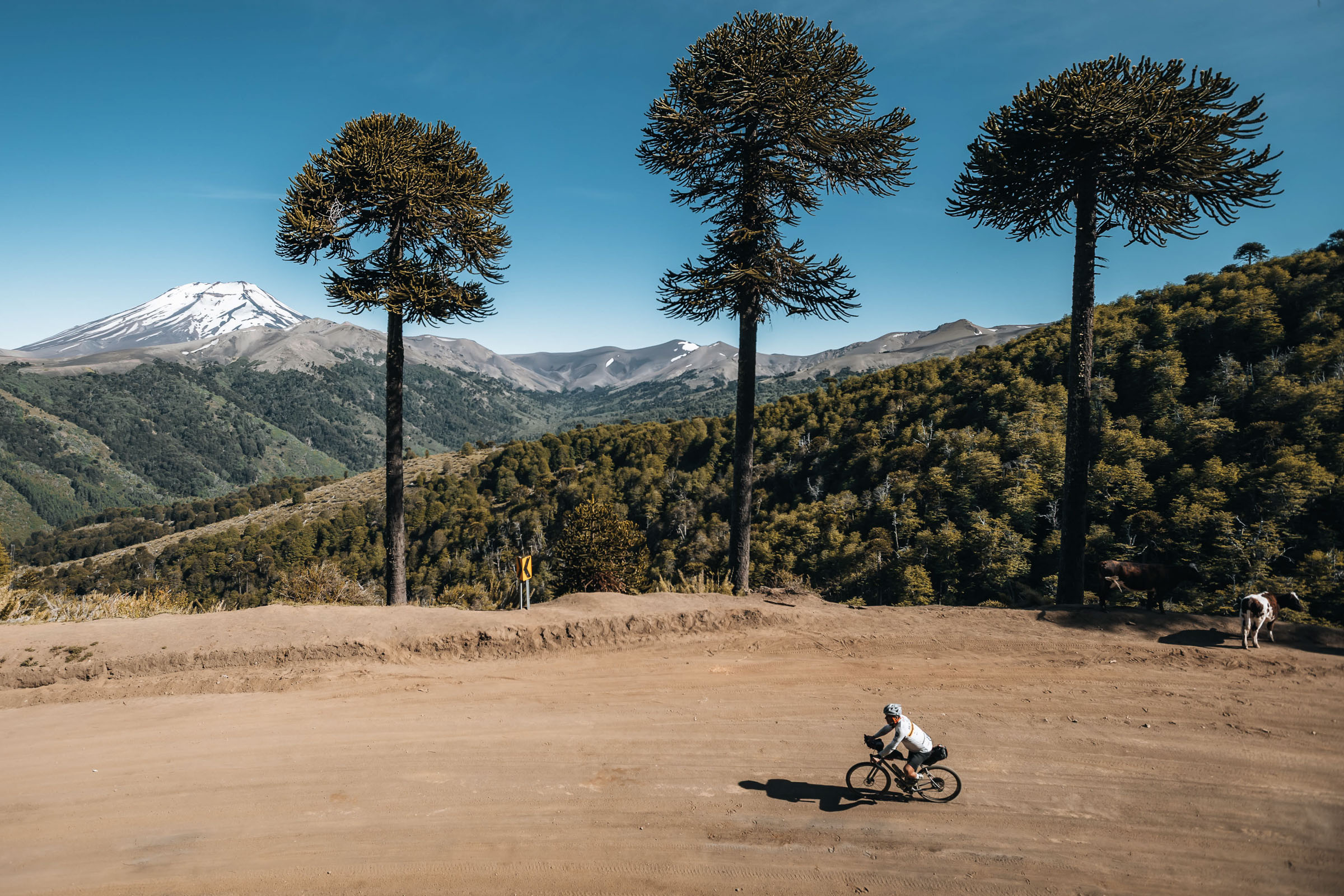 2025 across andes story