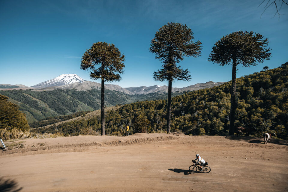 2025 across andes story