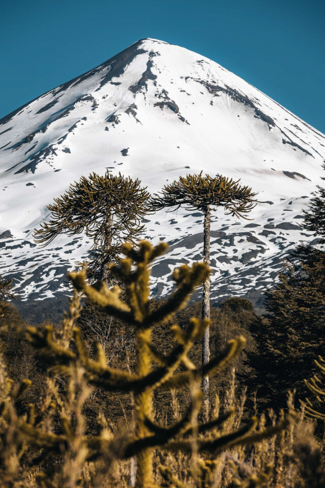 2025 across andes story