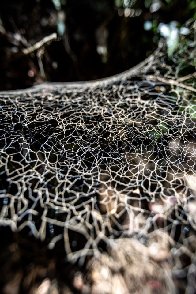 2025 across andes story