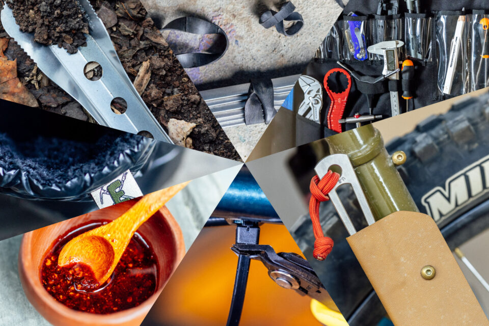 2025 Editors Dozen Logan and Virginia