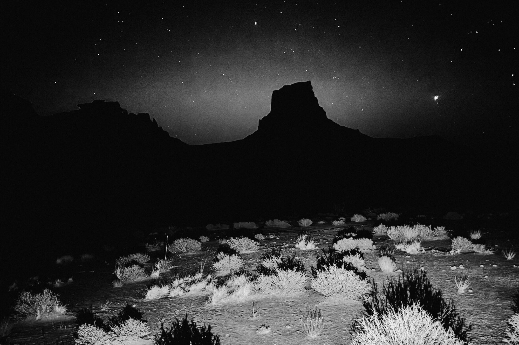 2025 editors dozen stephen fitzgerald