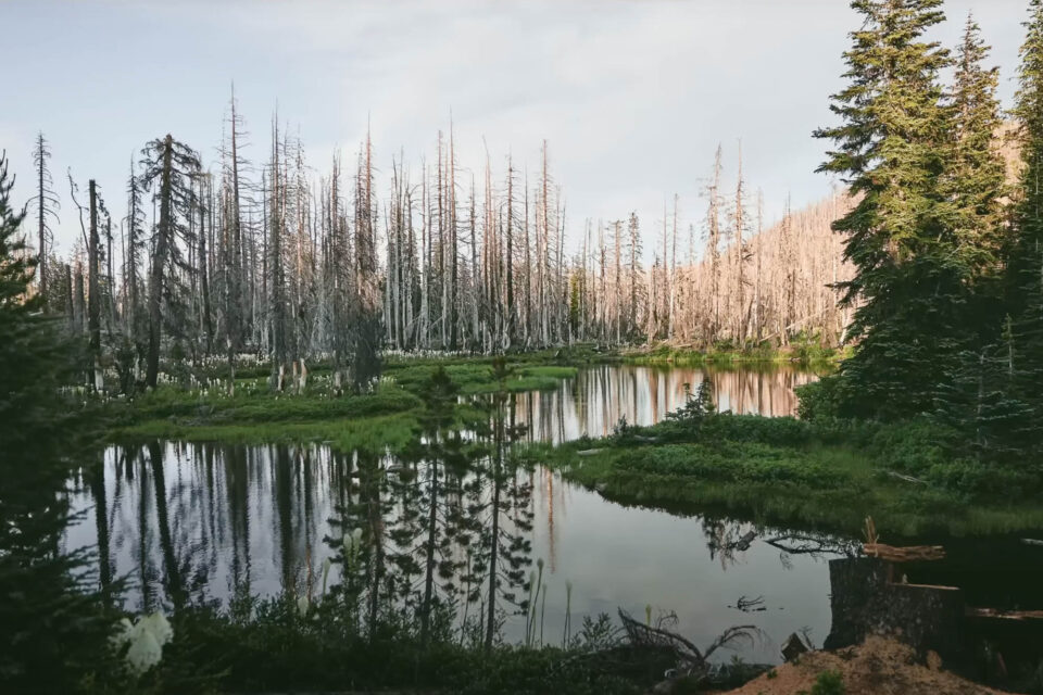 Bikepacking the Lodgepole Lollipop