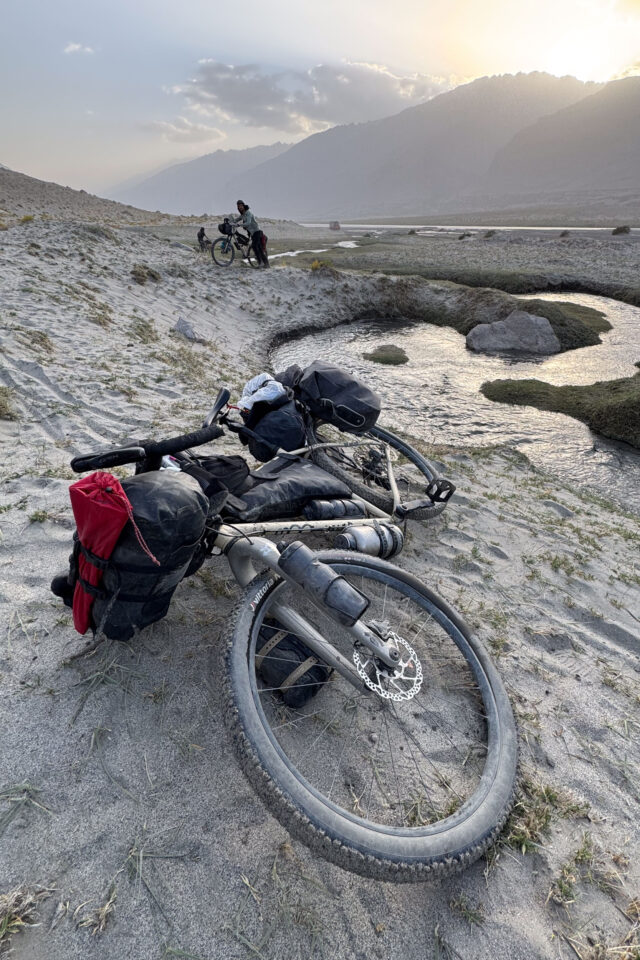 Cinelli HoBootleg Geo 2026