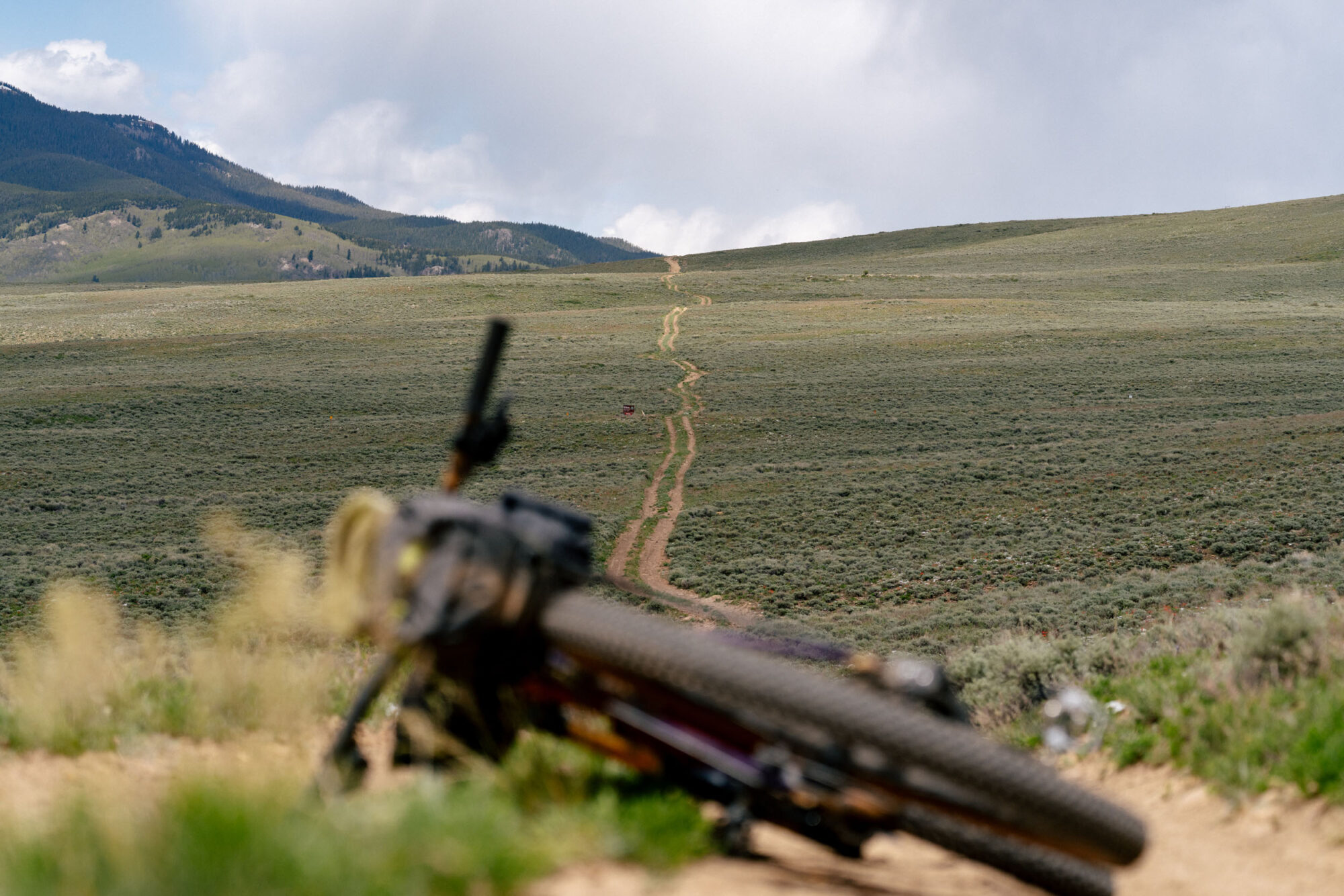 The Year of the Overnighter