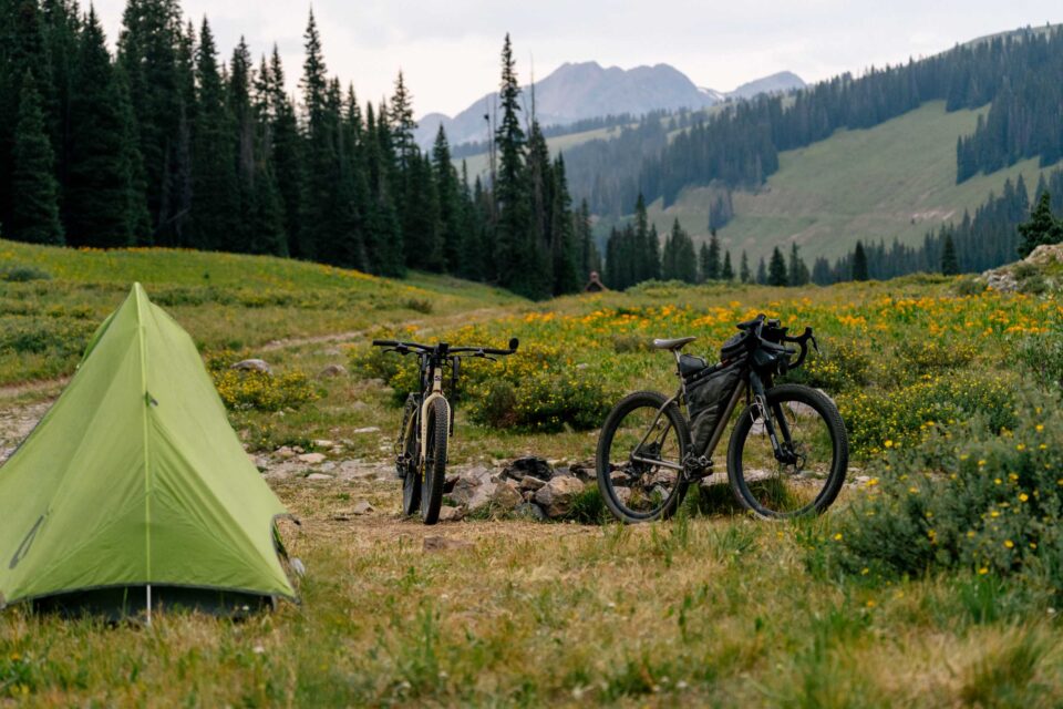 The Year of the Overnighter