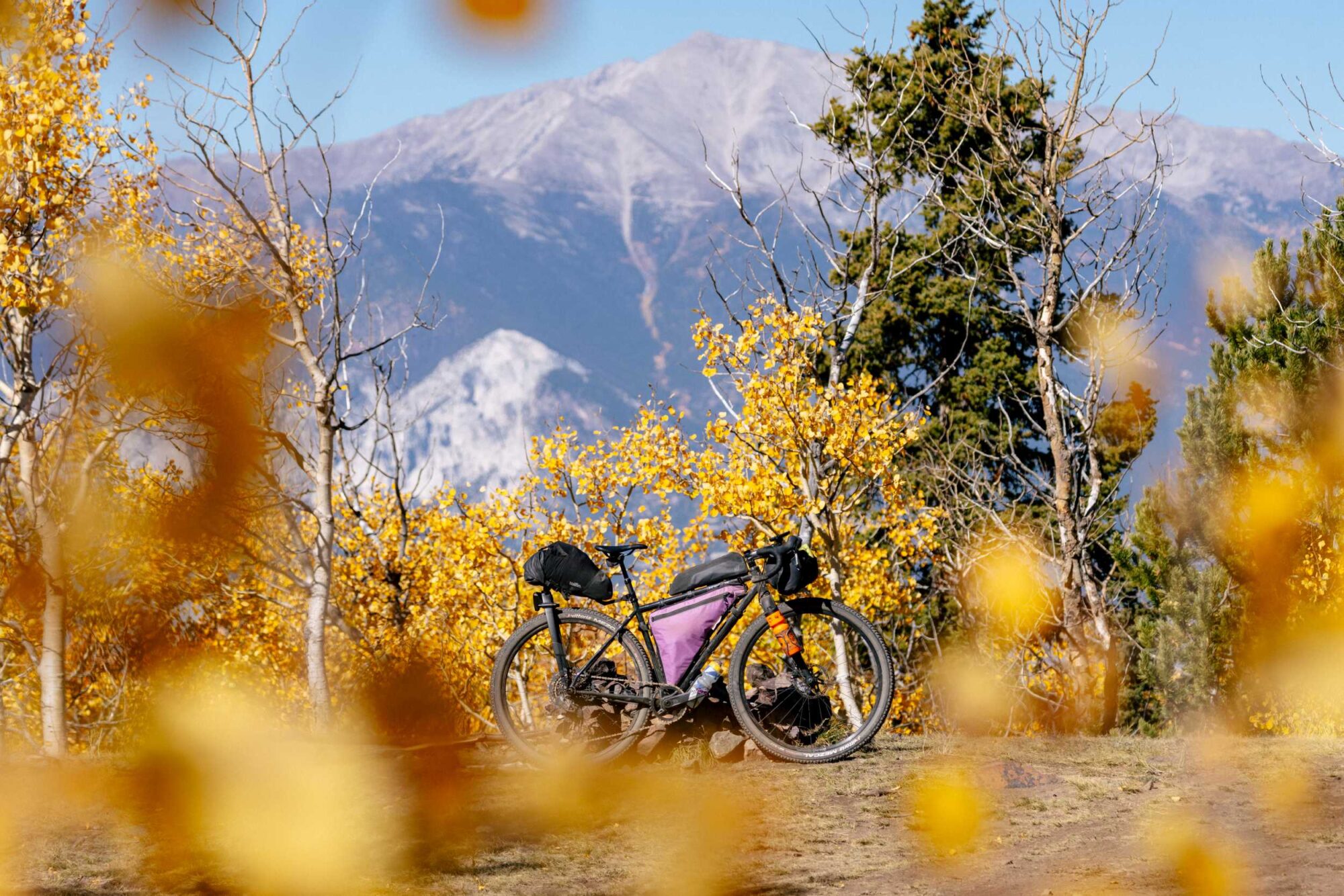 The Year of the Overnighter