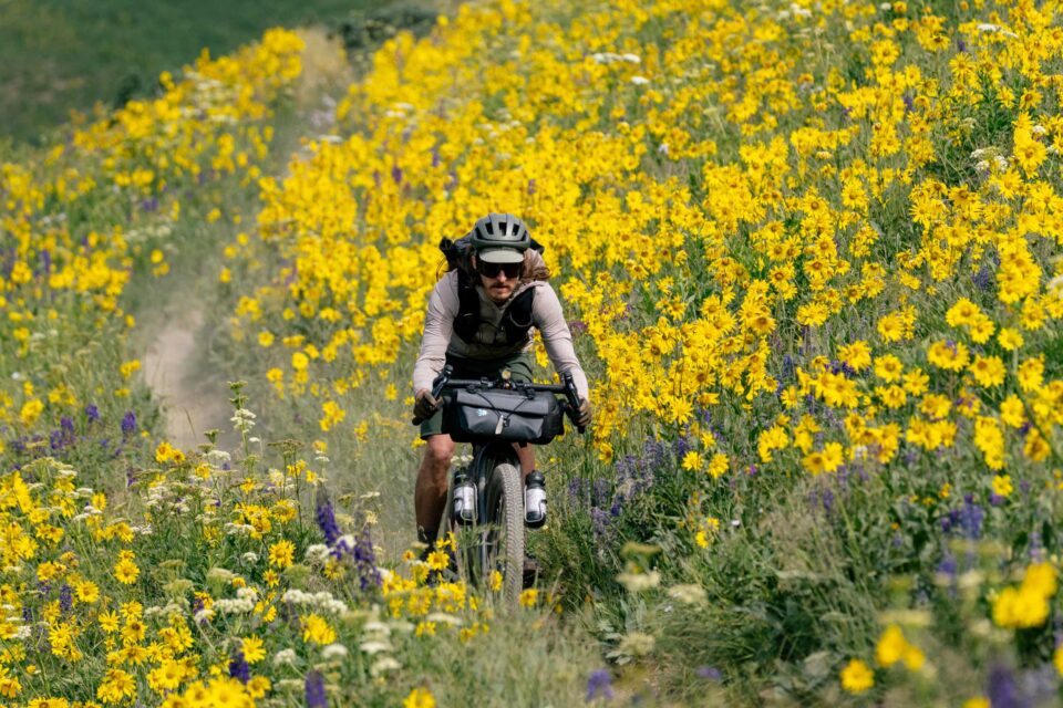 The Year of the Overnighter