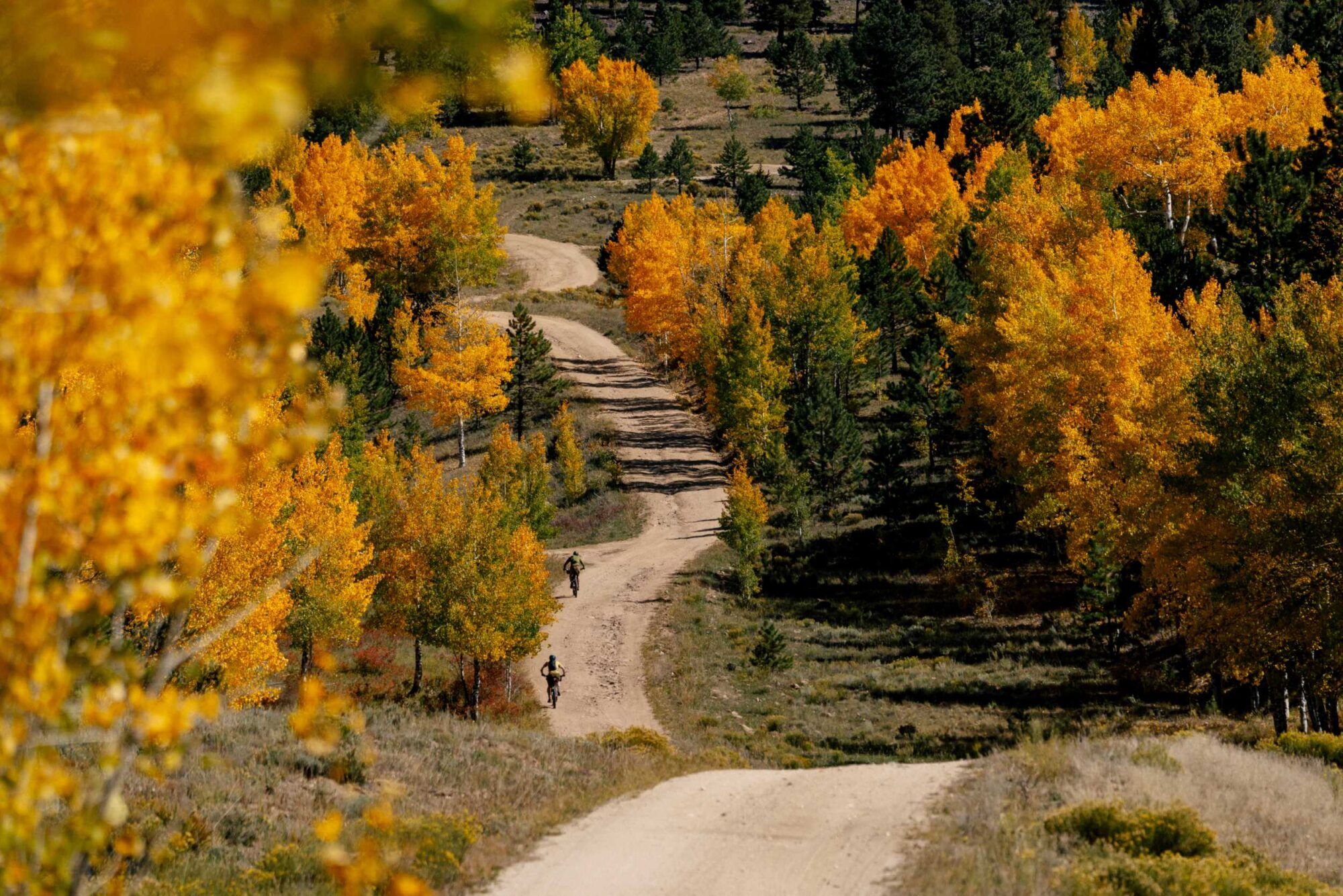 The Year of the Overnighter