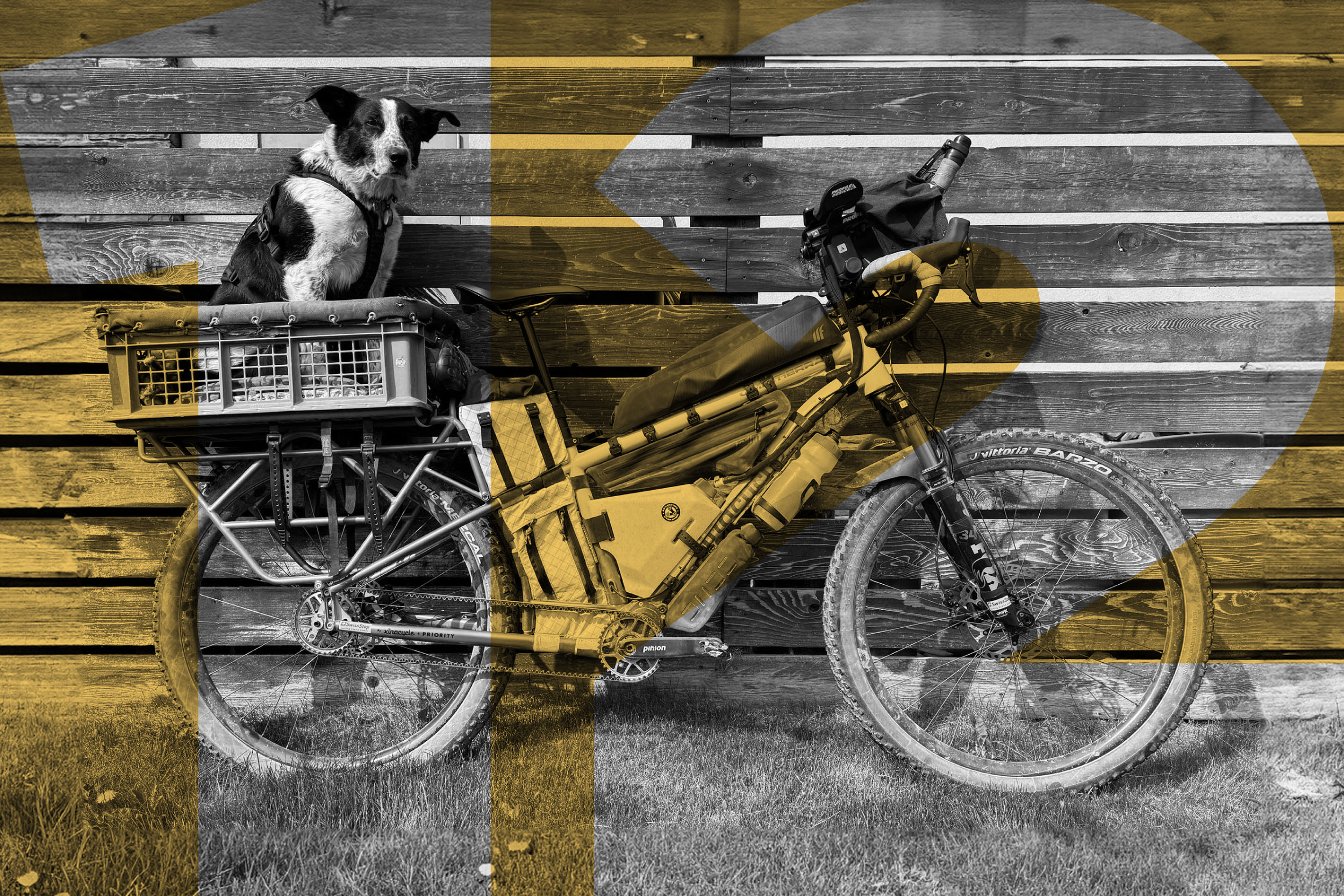 Our 12 Most Popular Articles and Routes of 2025