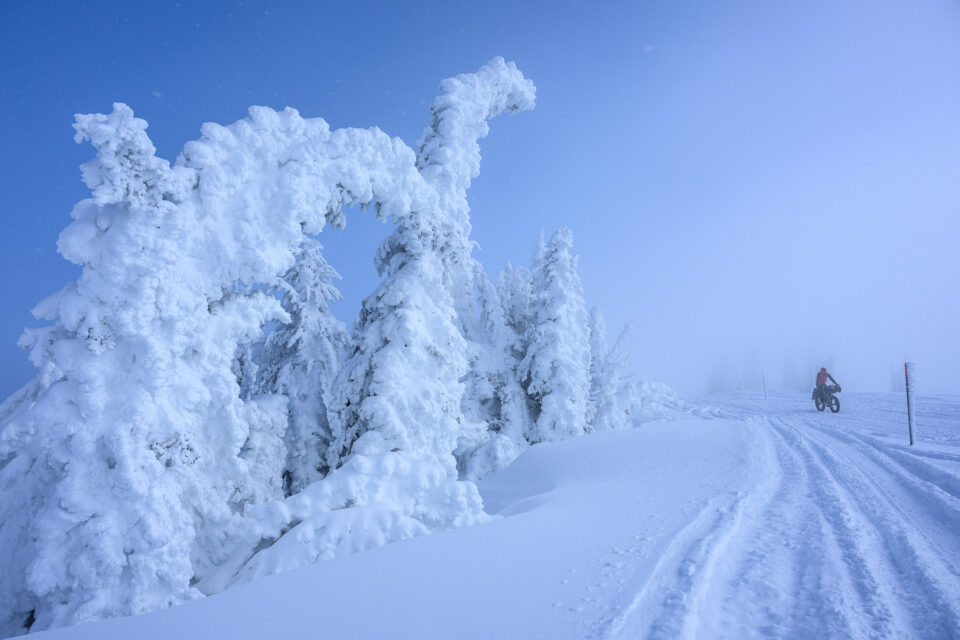 2026 Fat Pursuit Recap