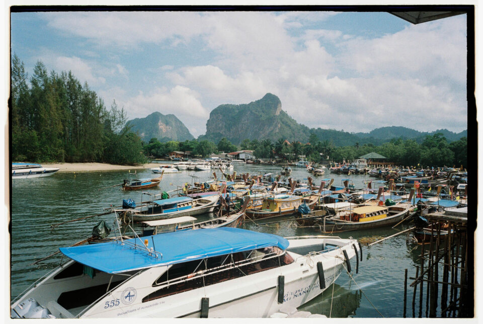 Bernardo Bacalhau, We Left Everything To Cycle The World