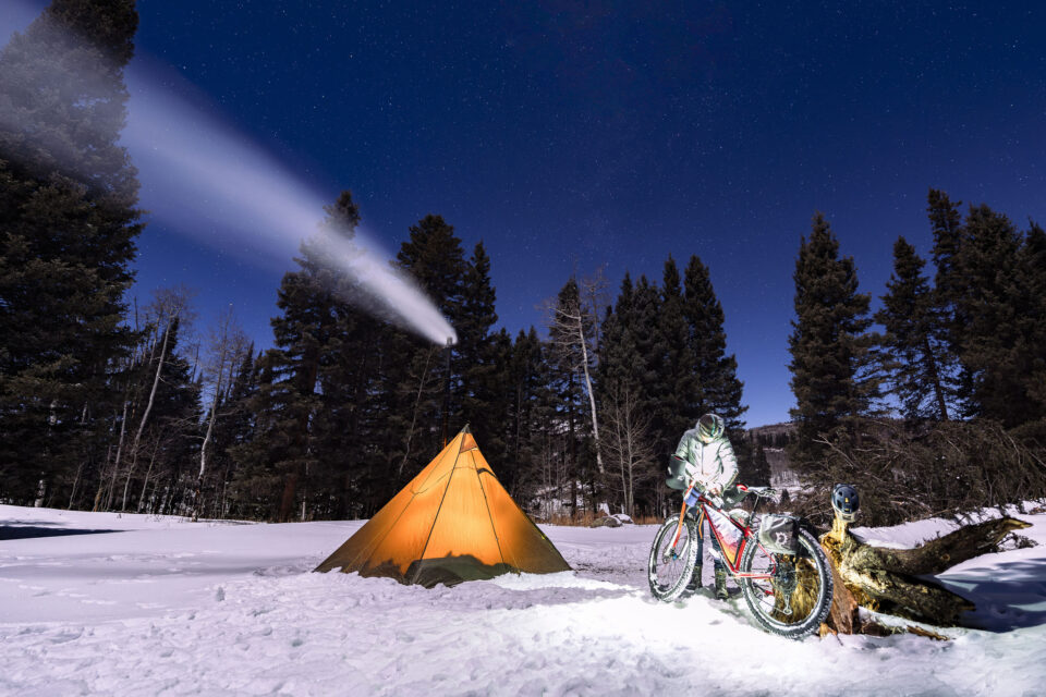 Good Night 2025 Roundup: Editors and Friends