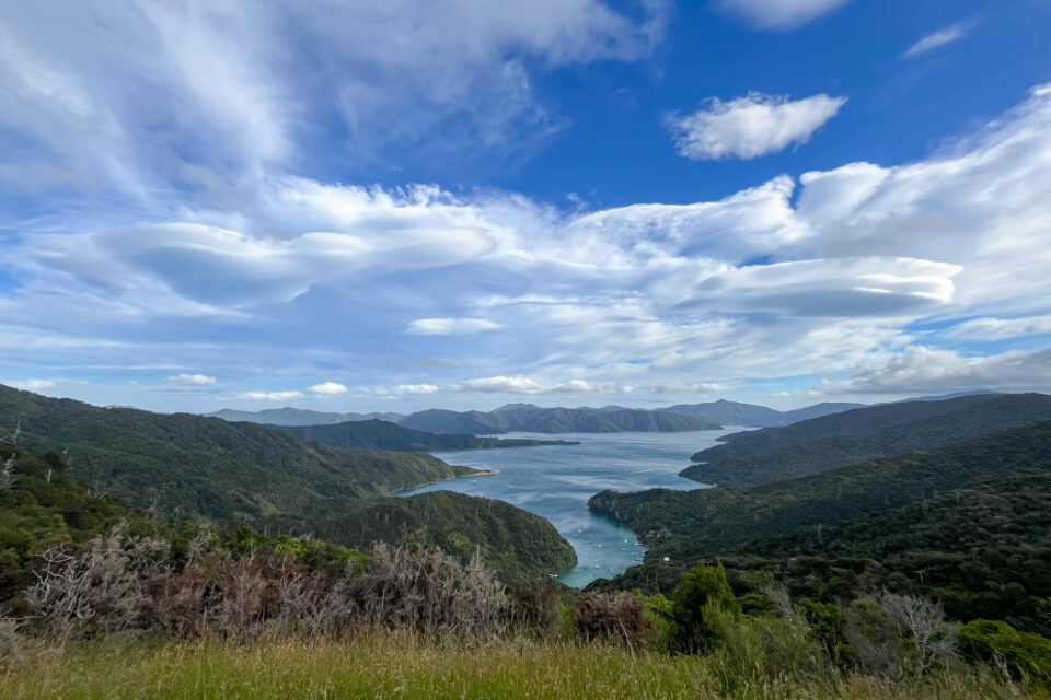 Good Night 2025 Campout