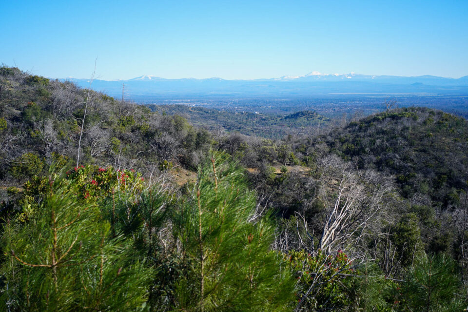 Good Night 2025 Campout