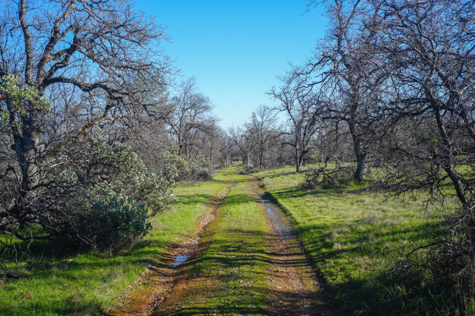 Good Night 2025 Campout