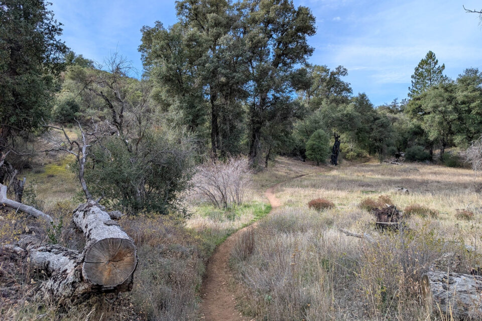 Good Night 2025 Campout