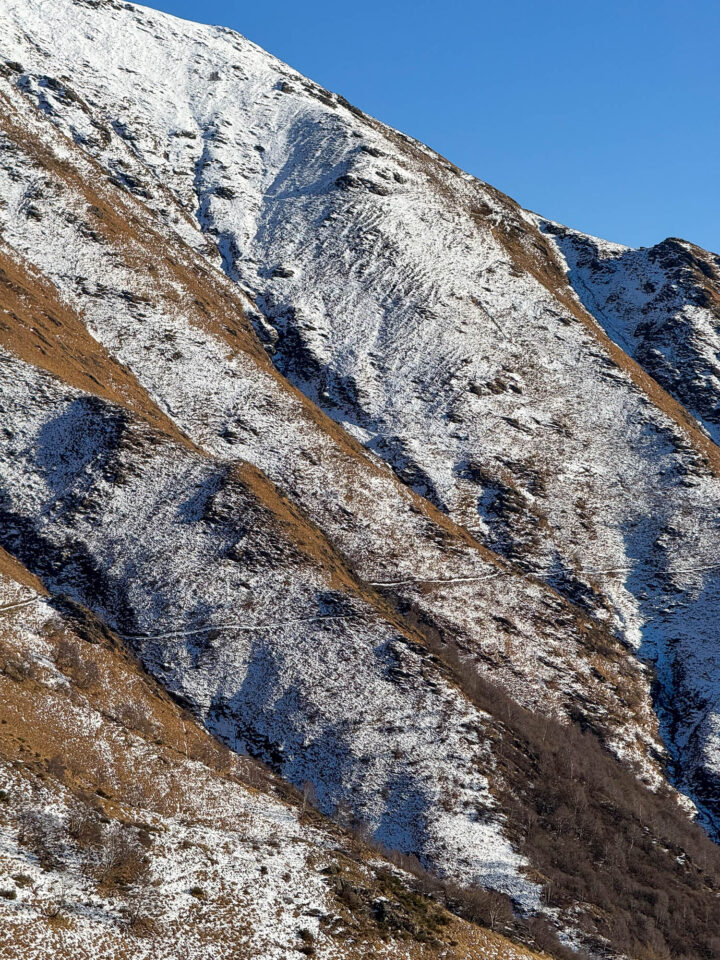 Good Night 2025 Campout