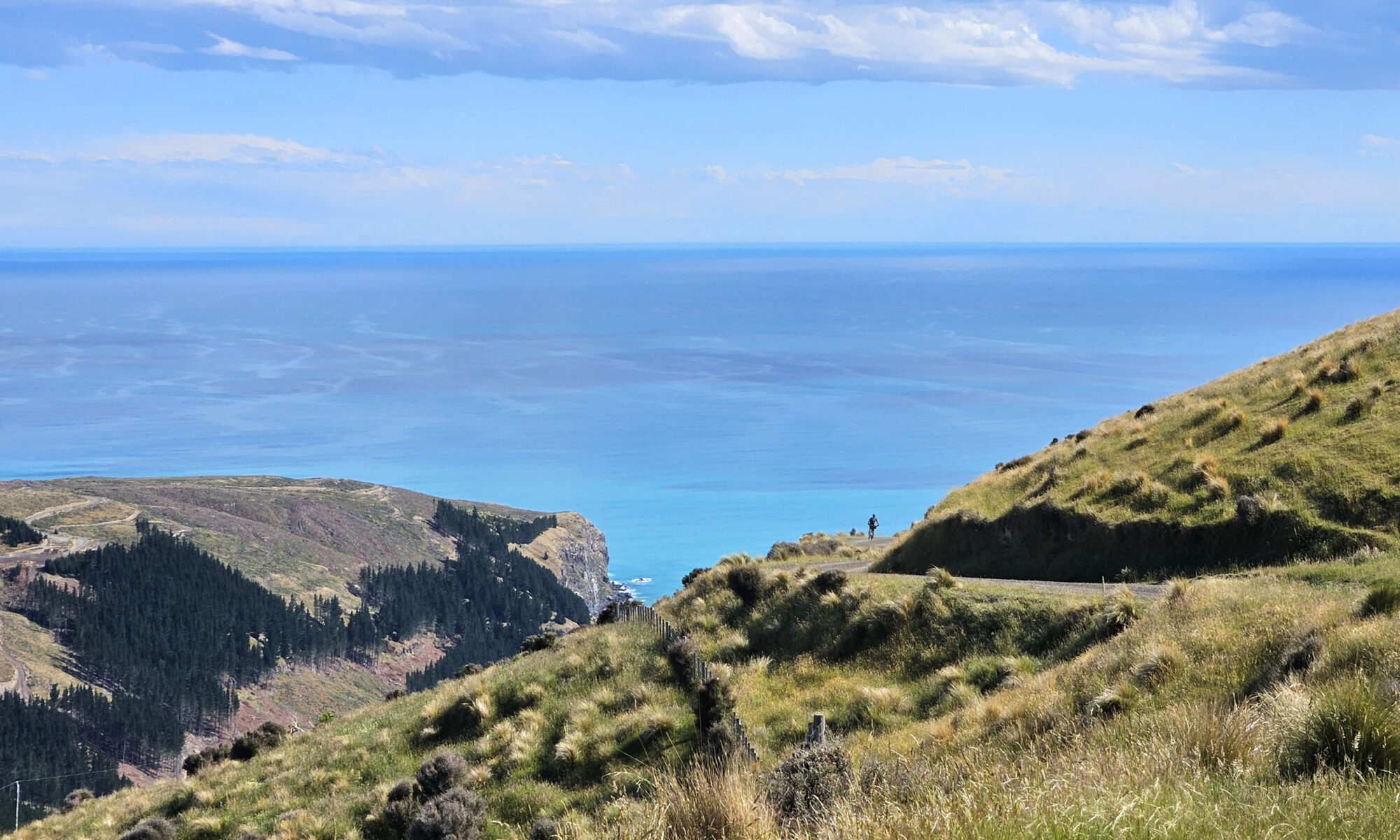 Good Night Campout 2025 Hana Black