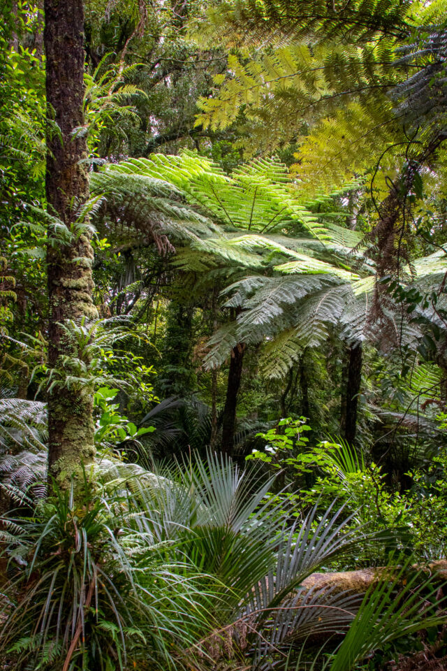 Good Night 2025 Campout