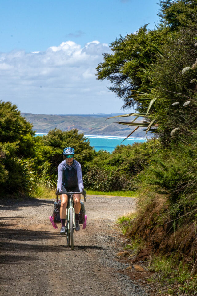 Good Night 2025 Campout