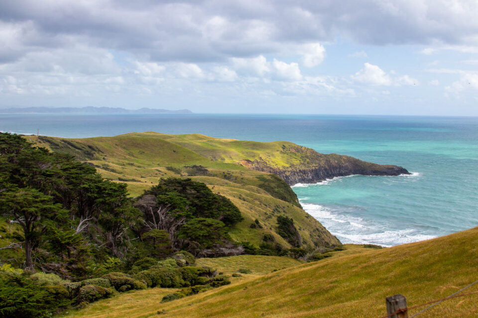 Good Night 2025 Campout