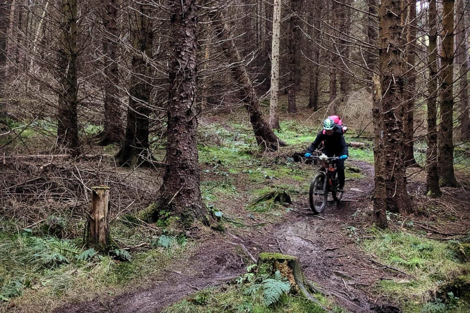 Good Night 2025 Campout