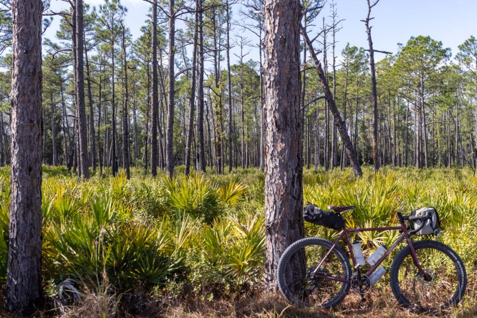 Good Night 2025 Roundup Editors and Friends, Nic Morales