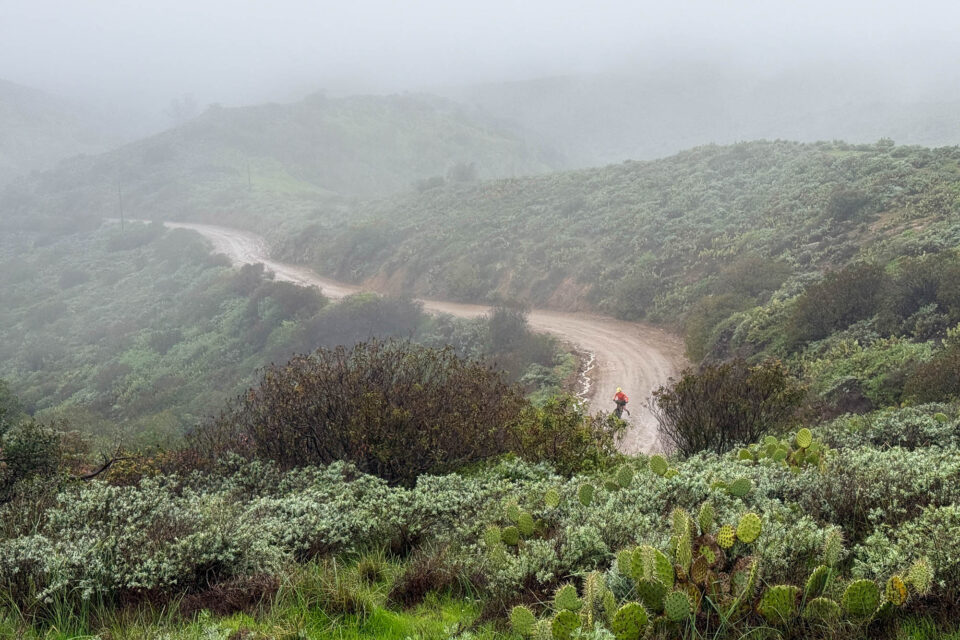 Good Night 2025 Campout