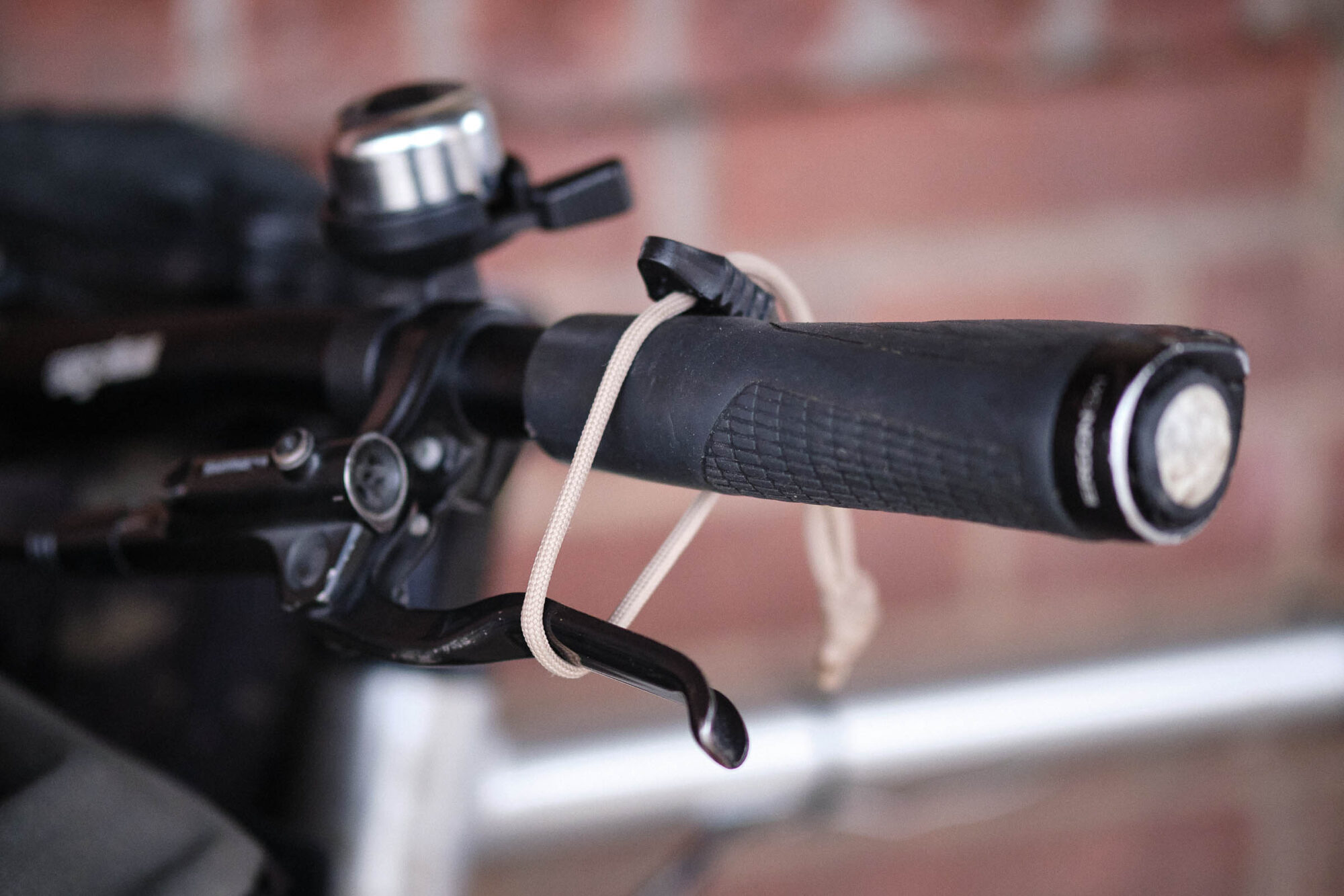 Josh Meissner 2025 Editor's Dozen,