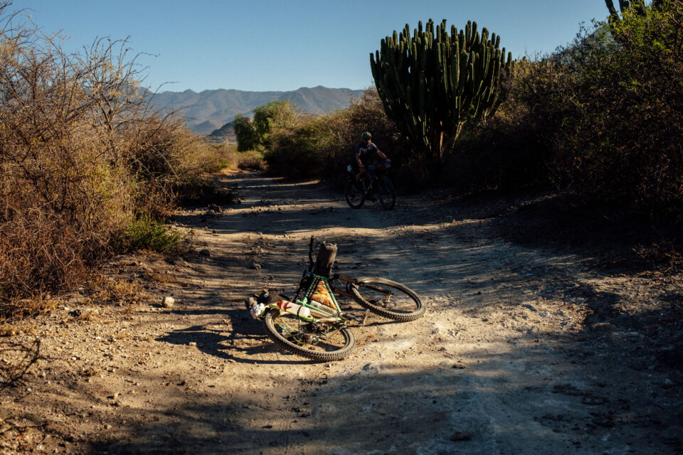 Rogue Panda Kaibab Cradle Review