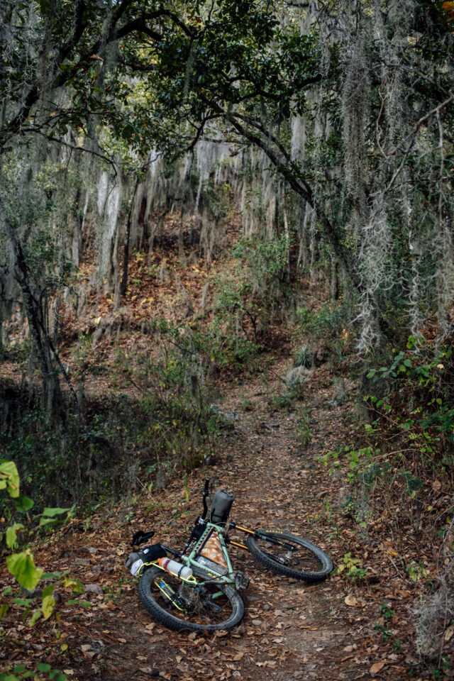 Rogue Panda Kaibab Cradle Review