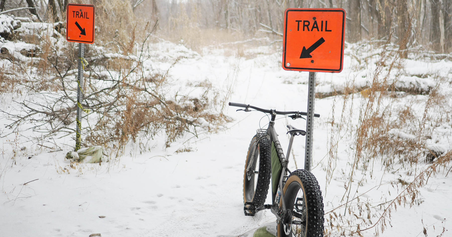 תמונת סוף שבוע