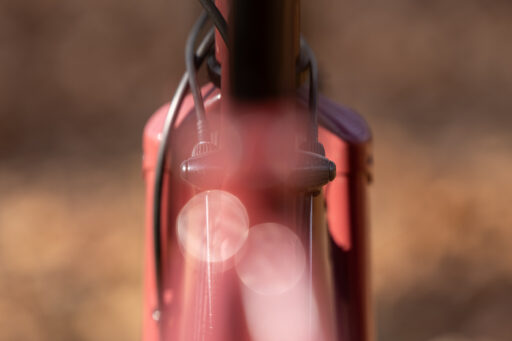 Bassi x Keystone Belmont Review