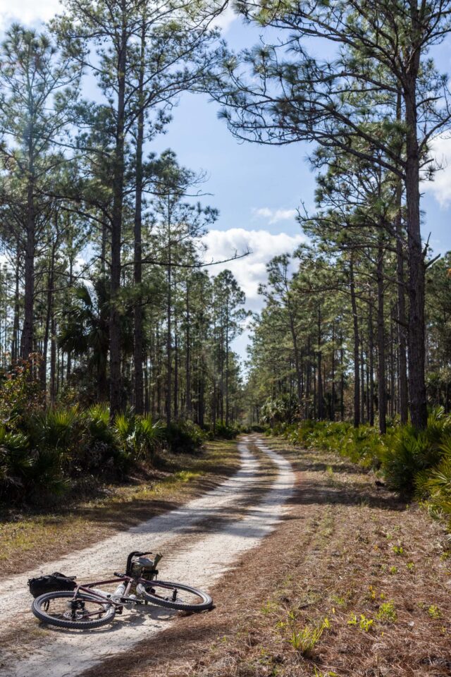 Bassi x Keystone Belmont Review