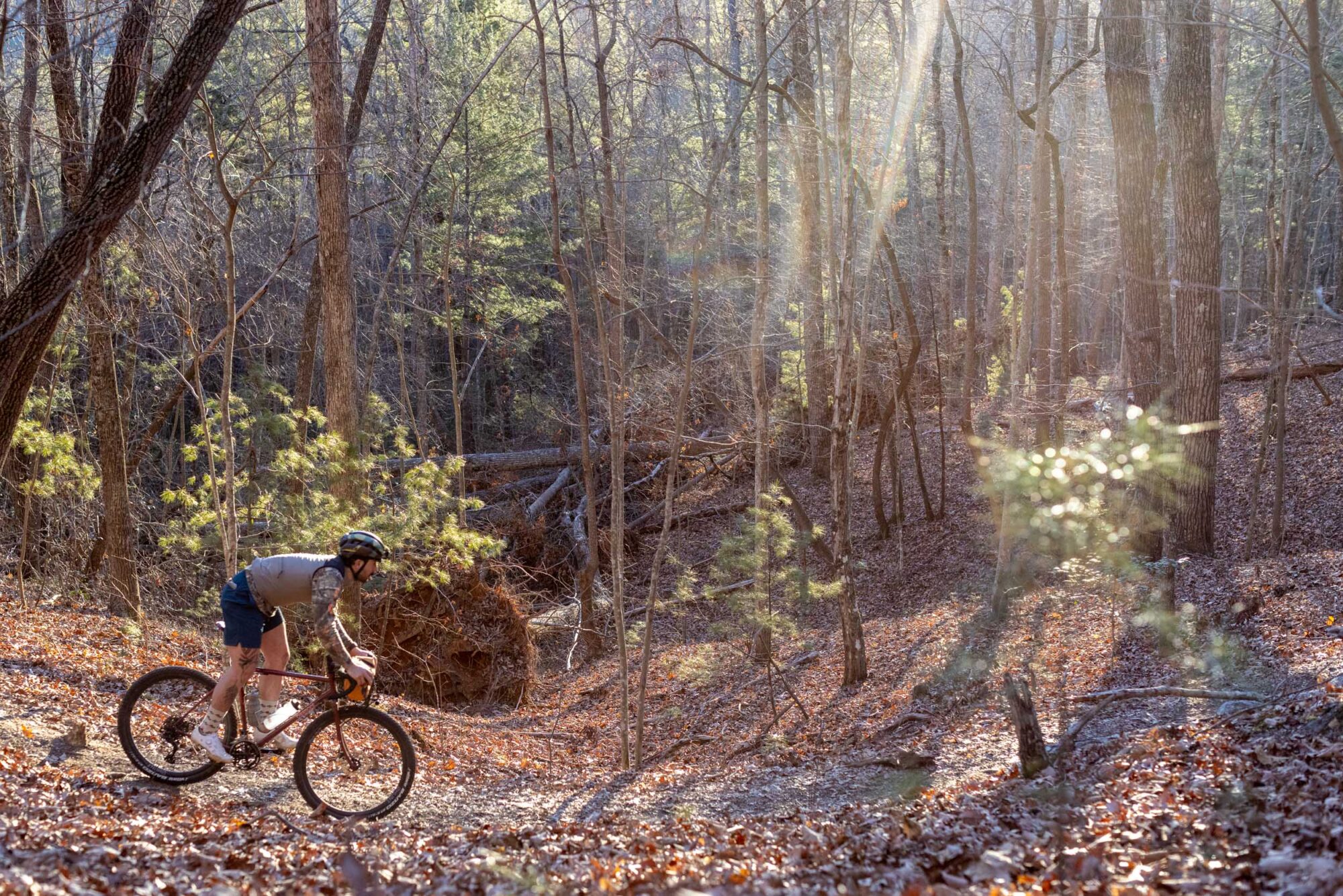 Bassi x Keystone Belmont Review