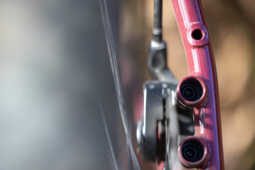 Bassi x Keystone Belmont Review