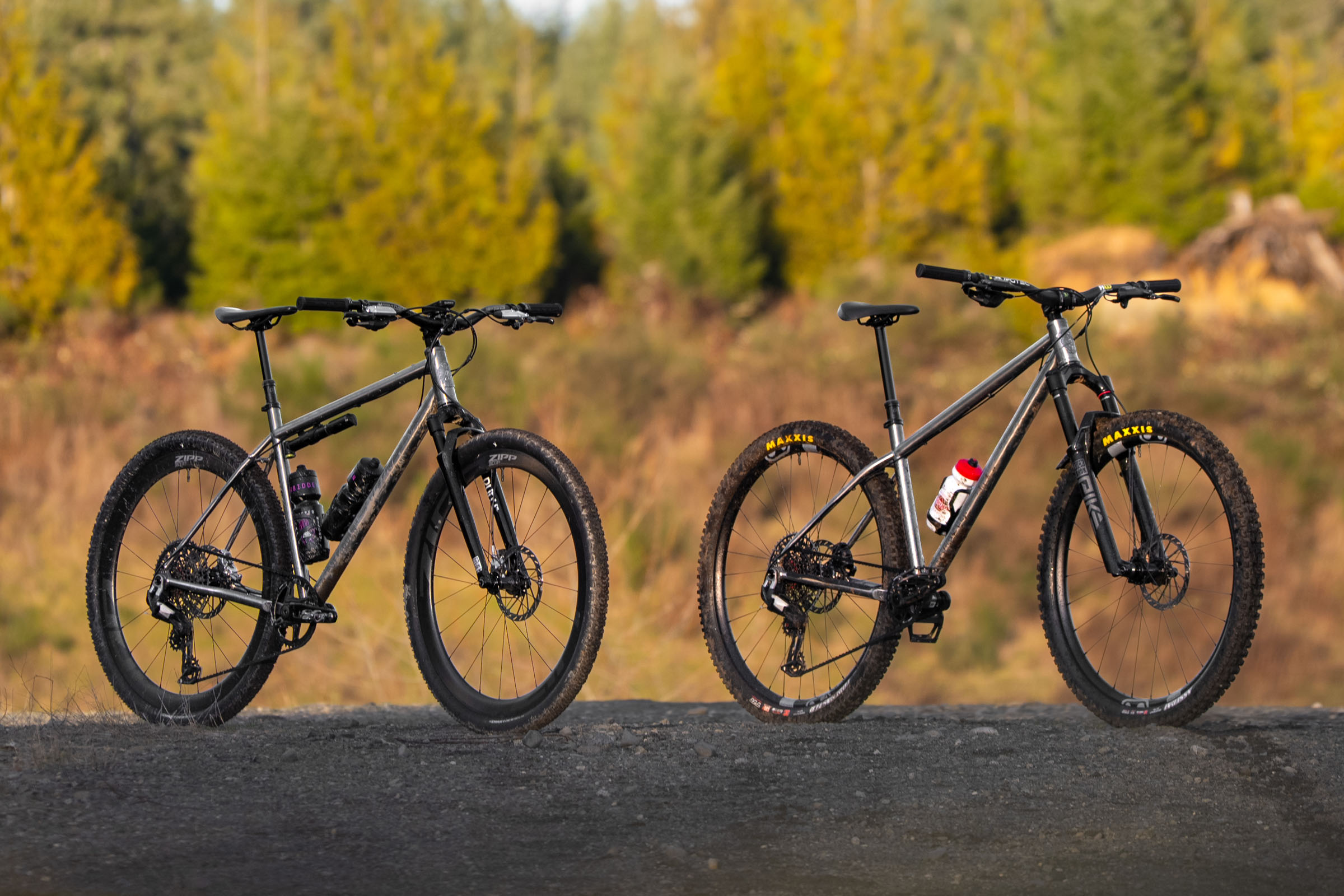forbidden titanium bikes