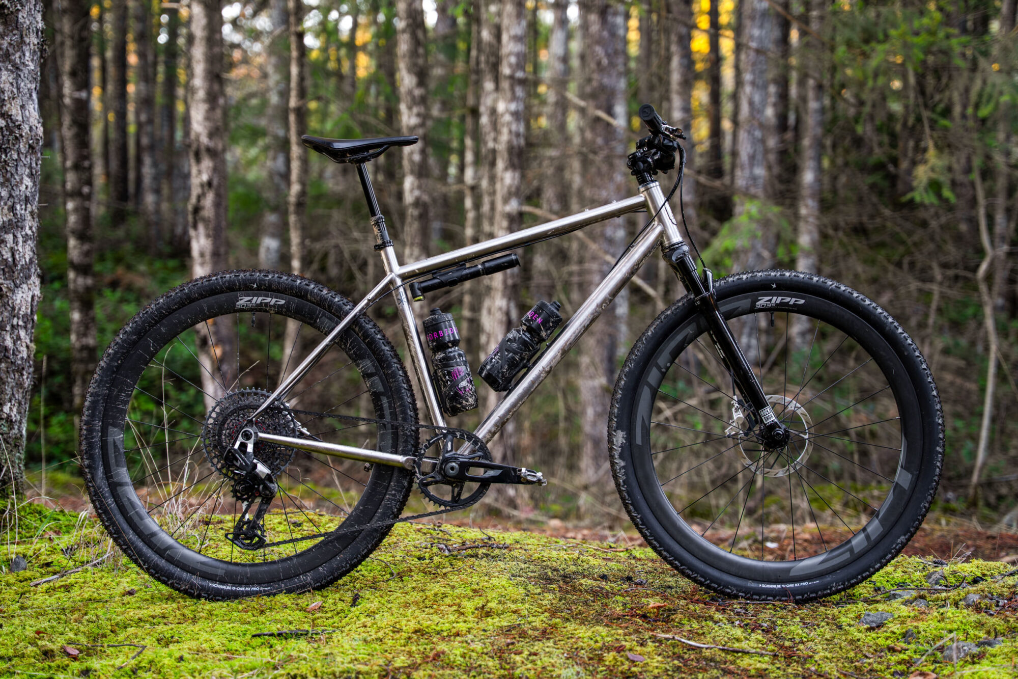 forbidden puritan new