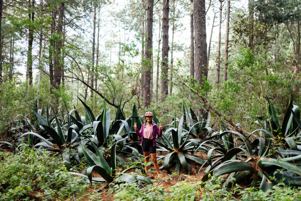 shakedown ride la reina overnighter