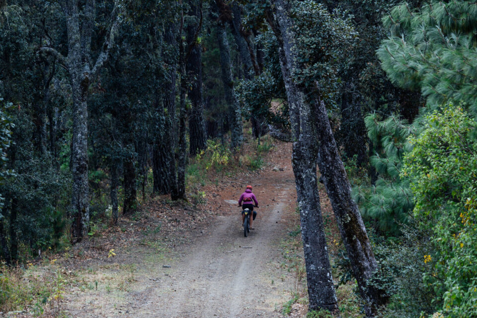 The Ultimate Shakedown Ride