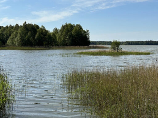 Lakes Forests Borderlands Overnighter