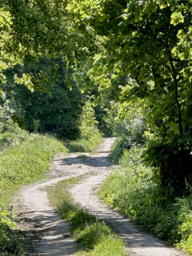 Lakes Forests Borderlands Overnighter