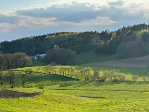 Lakes Forests Borderlands Overnighter