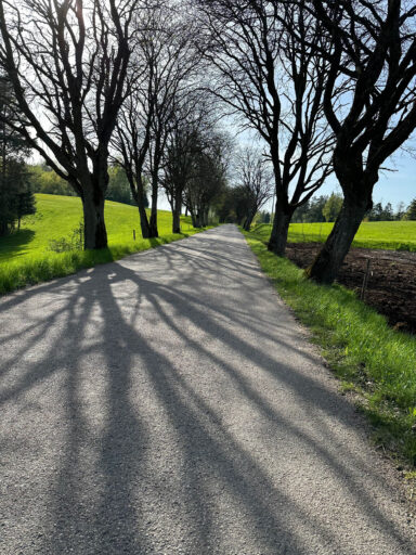 Lakes Forests Borderlands Overnighter